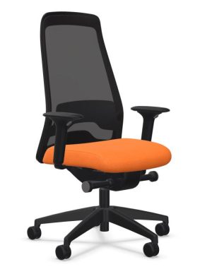 Interstuhl EVERYis1 EV217 ERA ER23 Oranje | www.bureaustoel.nl
