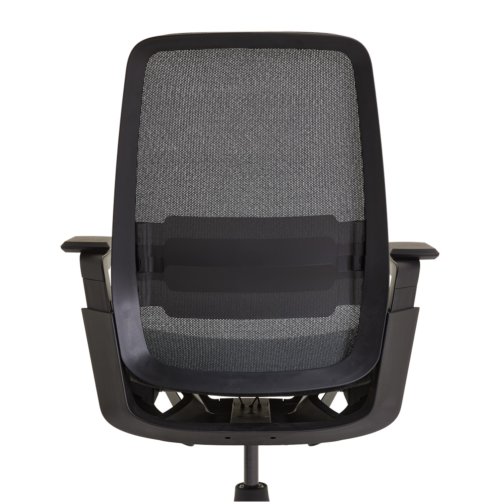 Ahrend Remode Type AxNPR Black Edition In hoogte verstelbare lendensteun | www.bureaustoel.nl